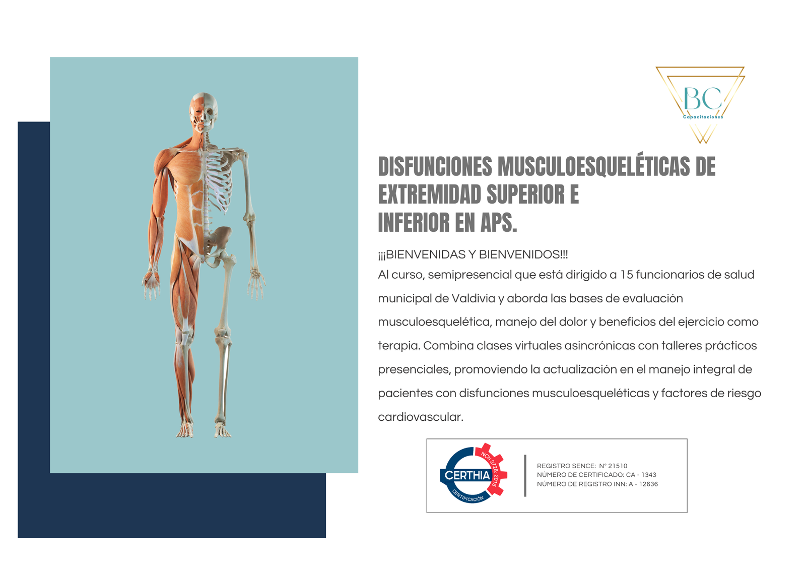 Disfunciones musculoesqueléticas de extremidad superior e inferior en APS